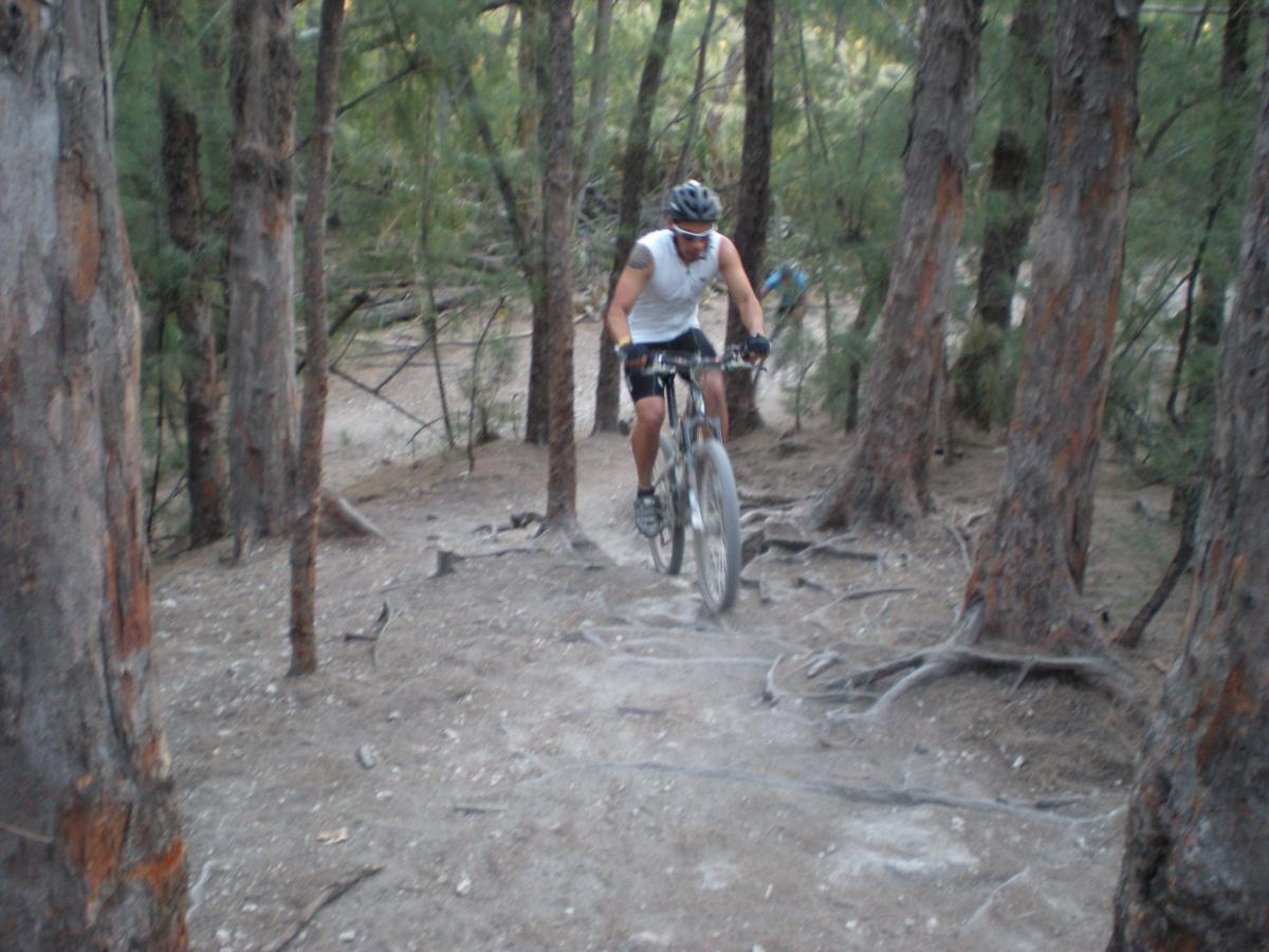 A person riding a mountain bike on a dirt trail surrounded by tall trees in a forested area. The rider is wearing a helmet and athletic clothing, navigating through rough terrain with visible roots and gravel. The image captures the dynamic movement of the cyclist amidst a natural setting. Oleta River State Park mountain bike trail.
