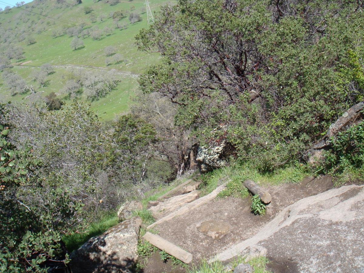 A scenic view from a hiking trail showing a rocky path surrounded by lush green vegetation and trees, descending into a sloped hillside. There are power lines visible in the background, and soft rolling hills extend into the distance. Rockville Park mountain bike trail.