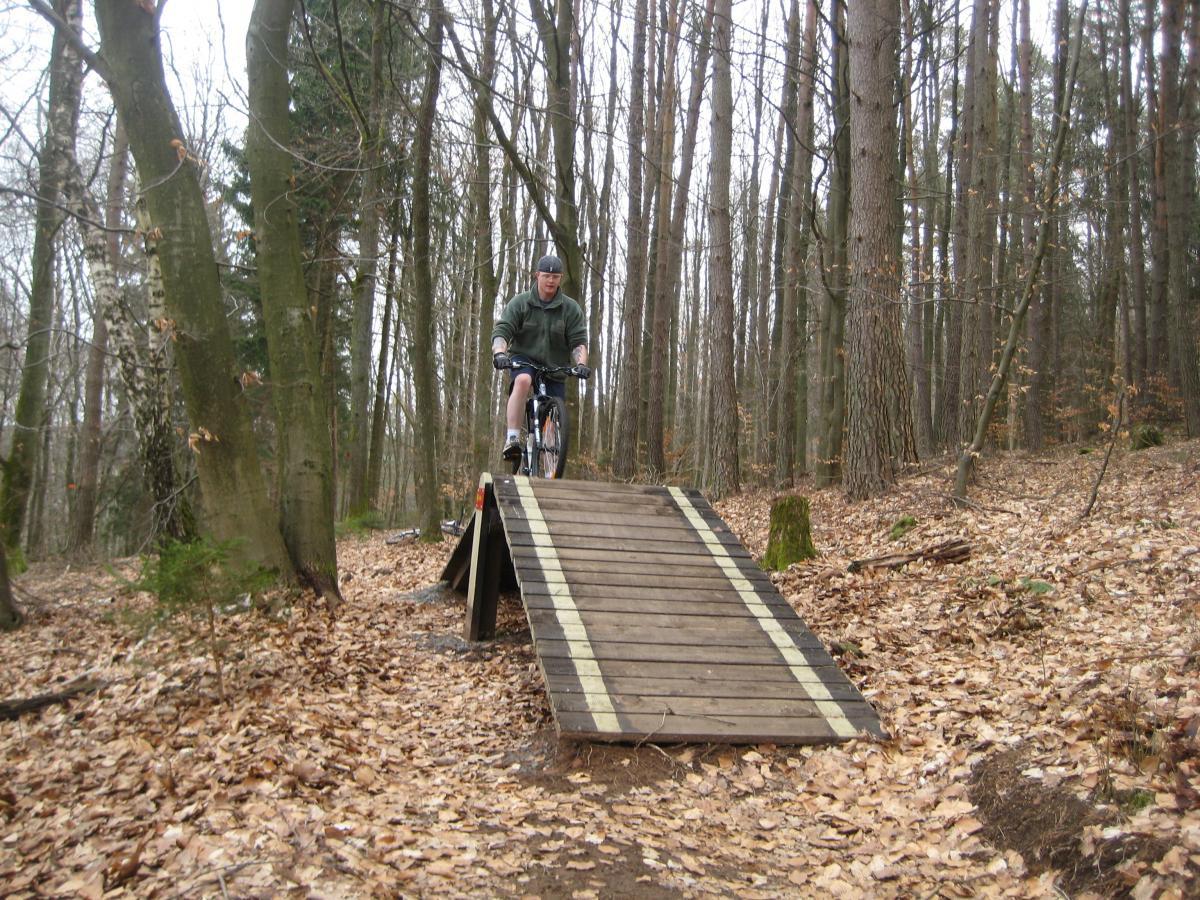 A person riding a mountain bike approaches a wooden ramp in a forested area covered with fallen leaves. The scene is surrounded by tall trees, indicating a natural outdoor environment for biking. Technikparcours mountain bike trail.