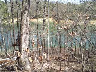 A view of a tranquil river surrounded by bare trees and dry foliage, with a soft shoreline in the background. The water appears clear and reflects the colors of the landscape. Tsali Right Loop mountain bike trail.