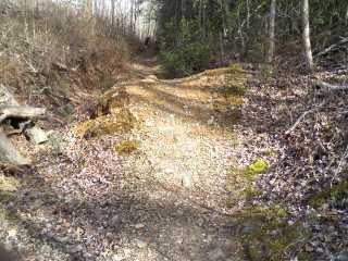 A narrow dirt trail winding through a forest, lined with leafless shrubs and trees. The ground is covered in scattered leaves and small stones, with patches of moss visible along the edges. Sunlight filters through the trees, creating a dappled light effect on the path. Tsali Right Loop mountain bike trail.