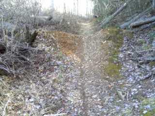 A narrow dirt path through a wooded area, flanked by underbrush and fallen branches. The ground shows signs of uneven terrain, with areas of exposed soil and moss. Sunlight filters through the trees in the background, creating a serene outdoor atmosphere. Tsali Right Loop mountain bike trail.
