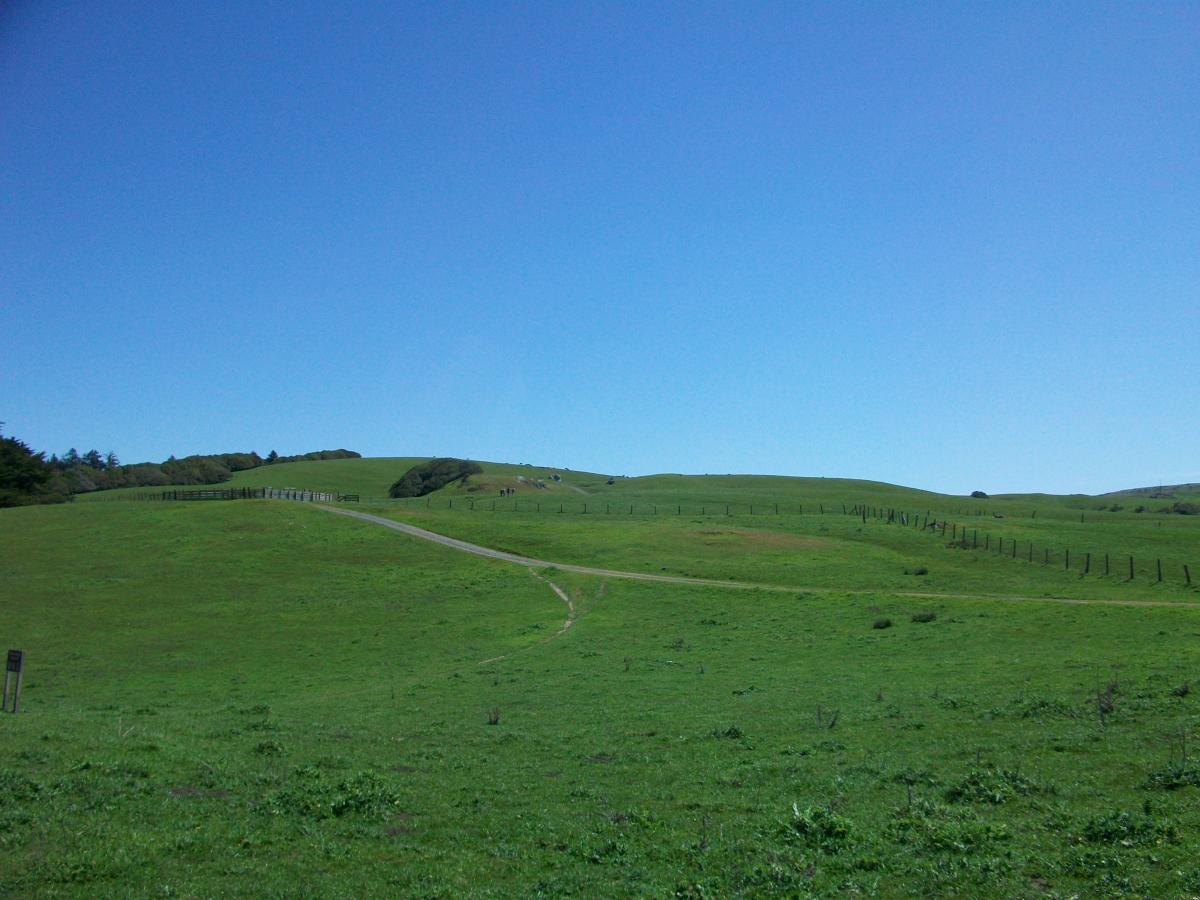 A wide expanse of lush green hills under a clear blue sky, with a dirt path winding through the landscape. Barbed wire fencing runs along the slopes, and distant trees are visible on the horizon. The scene conveys a tranquil and natural environment. Bolinas Ridge mountain bike trail.