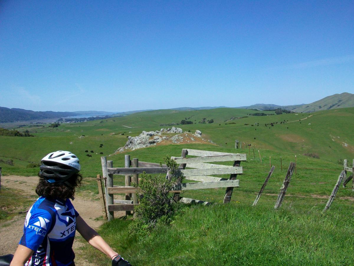 A cyclist wearing a helmet and jersey stands beside a wooden gate, overlooking a lush green landscape with rolling hills and grazing cows under a clear blue sky. Bolinas Ridge mountain bike trail.