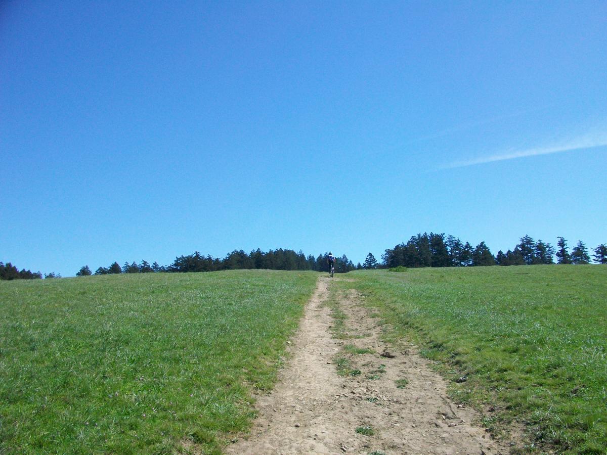 A wide, grassy hillside under a clear blue sky, featuring a dirt path leading up toward a tree line in the distance. A lone person can be seen walking along the path. Bolinas Ridge mountain bike trail.