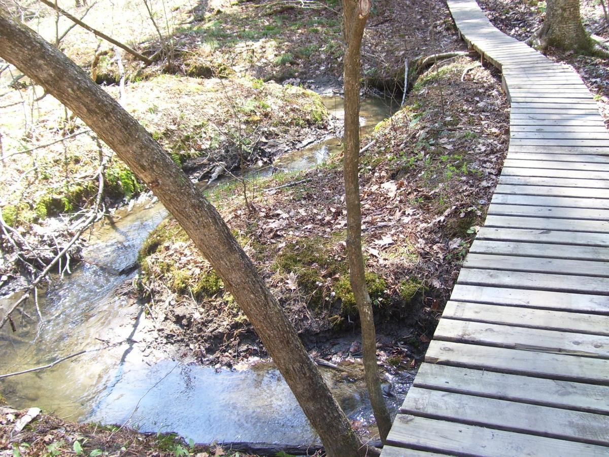 A wooden boardwalk winding through a forested area, with a small stream flowing alongside. The scene is filled with greenery and fallen leaves scattered on the ground. Sunlight filters through the trees, illuminating the tranquil setting. Sunny Hollow mountain bike trail.