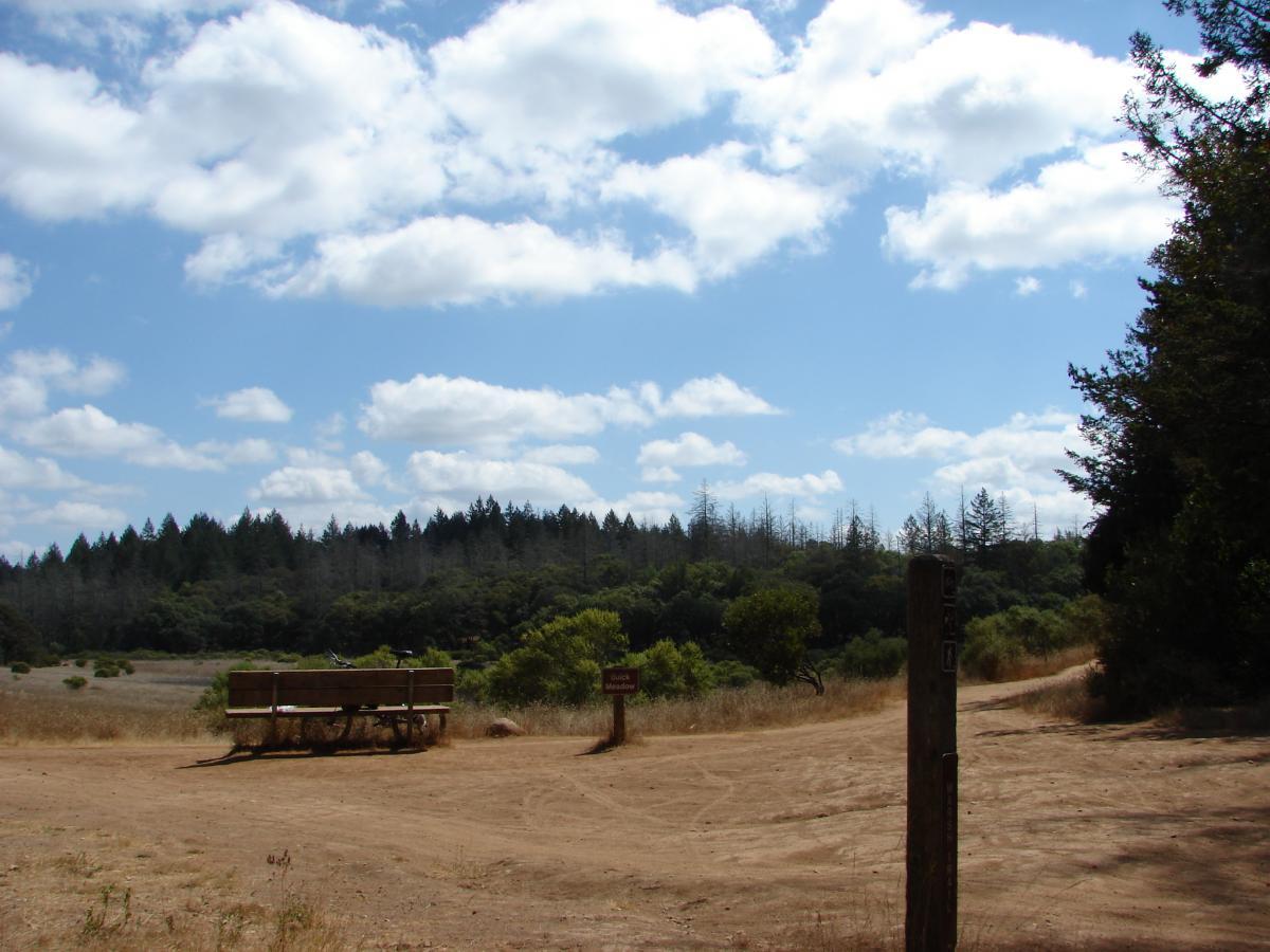 A dirt pathway splitting in two directions, with a wooden bench on the side. In the background, a mix of lush green trees and dry foliage under a bright blue sky filled with fluffy white clouds. A sign post is partially visible, indicating the trail. Annadel State Park mountain bike trail.
