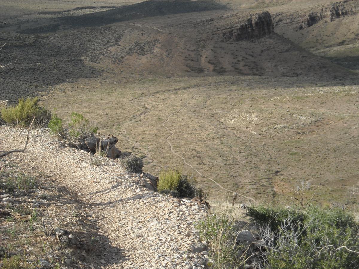 A rocky trail winding along the edge of a cliff in a arid landscape, with sparse vegetation and distant hills visible in the background. The terrain is mostly flat with patches of grass, and a winding path can be seen leading through the landscape. Blue Diamond mountain bike trail.