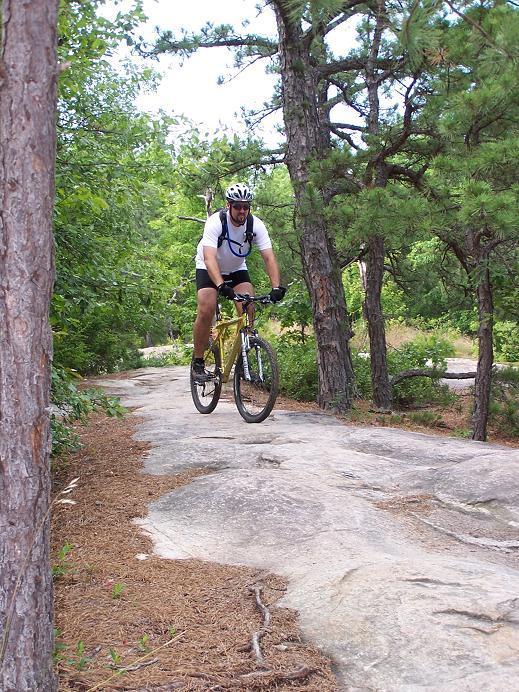 A man riding a yellow mountain bike on a rocky trail in a wooded area, surrounded by tall trees and greenery, with a focus on the rider performing a jump. DuPont State Recreational Forest mountain bike trail.