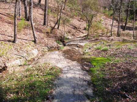 A serene outdoor scene depicting a rocky stream bed surrounded by trees and fallen leaves. The sunlight filters through the branches, highlighting patches of green moss along the rocks. The landscape conveys a peaceful natural setting with earthy tones and a gentle slope. Falling Creek Park mountain bike trail.