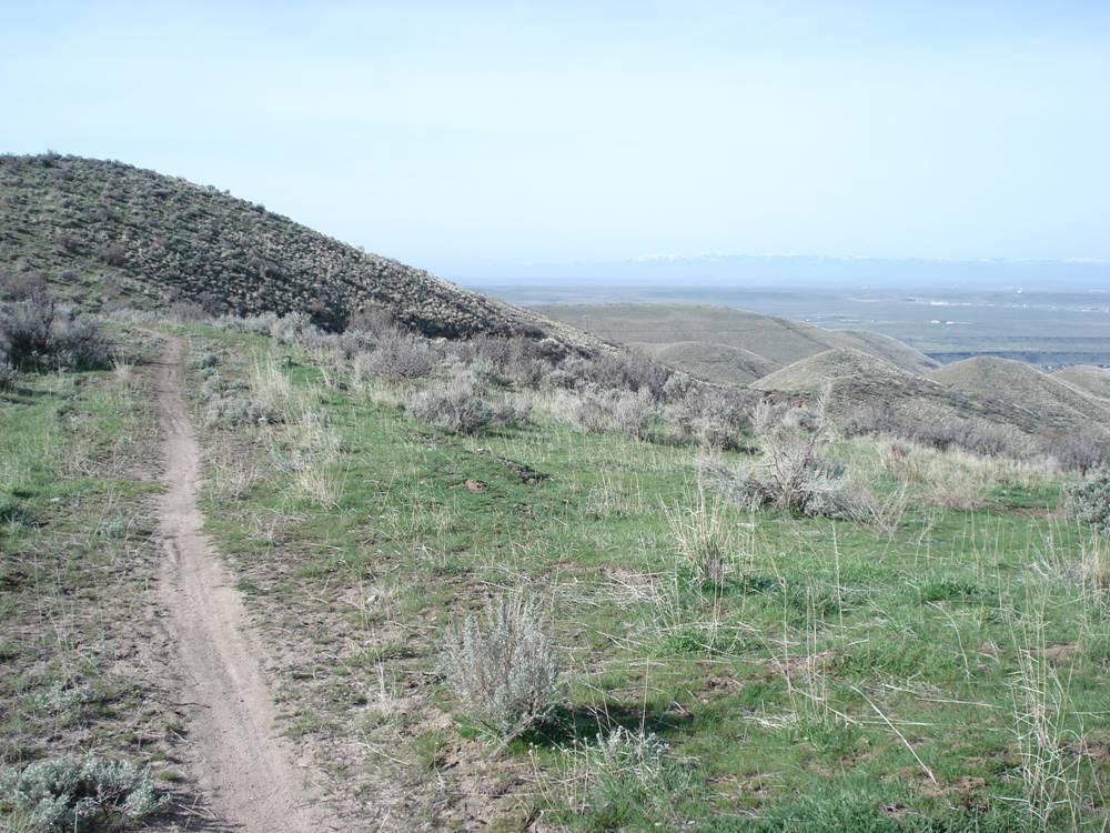 A winding dirt path leads through rolling green hills covered in sparse vegetation, with distant mountains visible on the horizon under a clear blue sky. Highland Valley Trail (r To R #11) mountain bike trail.