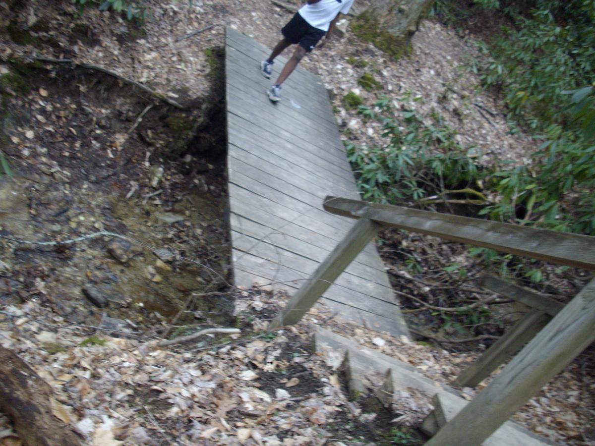 A wooden bridge over a small incline in a forested area, with fallen leaves on the ground. A person dressed in athletic wear is seen running on the bridge. Lush greenery and trees surround the scene, creating a natural outdoor atmosphere. Bodenheimer Parking Lot Trail mountain bike trail.