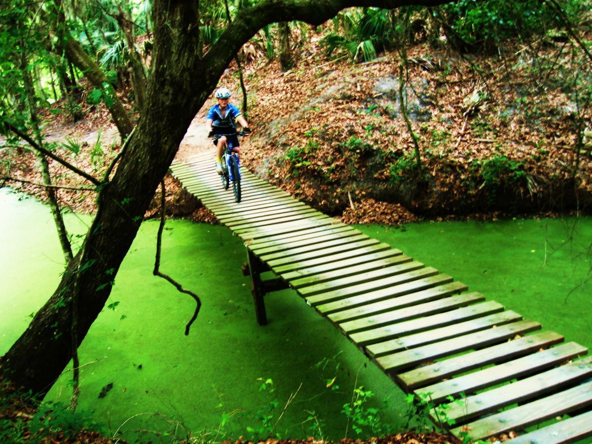 A child riding a blue bicycle crosses a wooden plank bridge over a body of green water surrounded by lush greenery and fallen leaves in a forested area. Alafia River State Park mountain bike trail.