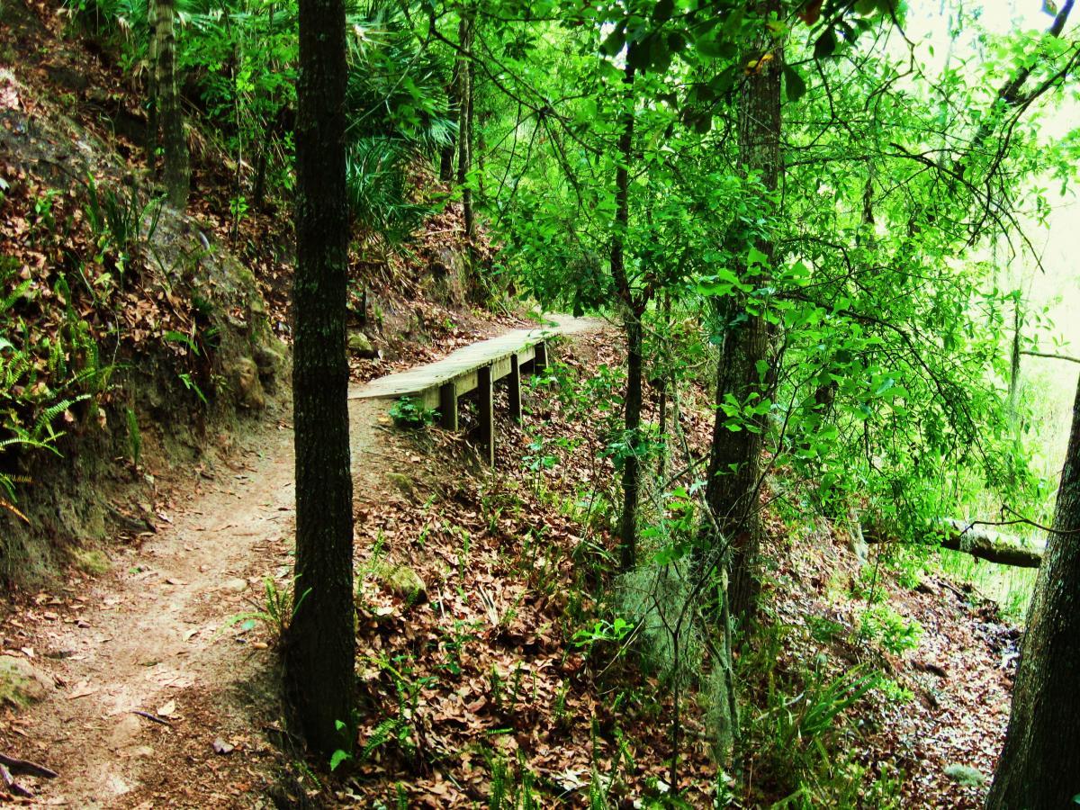 A winding dirt path through a lush green forest, bordered by trees and scattered leaves, with a wooden boardwalk section elevating along the side of a hill. The scene conveys a tranquil, natural setting perfect for hiking or exploring. Alafia River State Park mountain bike trail.