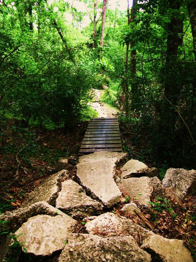 Wooden bridge crossing over rocky terrain in a dense, green forest. Lush foliage surrounds the pathway, creating a serene and natural setting. Comite Trails mountain bike trail.