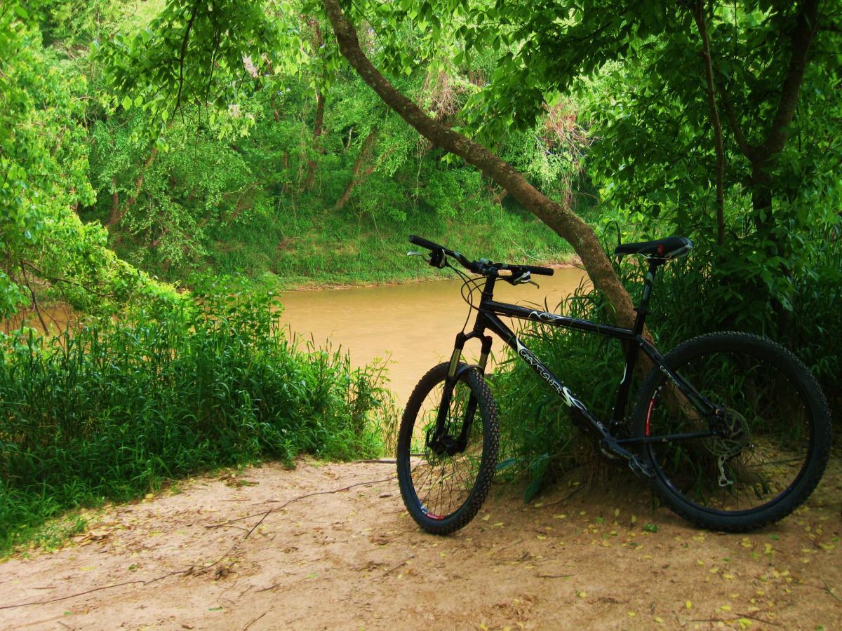 A black mountain bike leaning against a tree by a calm, muddy river, surrounded by lush green foliage and grass. The scene captures the tranquility of nature, with a dirt path leading to the water's edge. Comite Trails mountain bike trail.