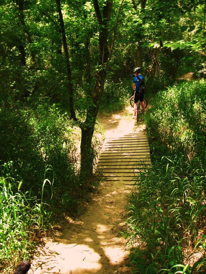 A mountain biker wearing a blue shirt and a helmet rides along a dirt path in a lush green forest, approaching a wooden bridge. Sunlight filters through the trees, illuminating the vibrant foliage surrounding the trail. Comite Trails mountain bike trail.
