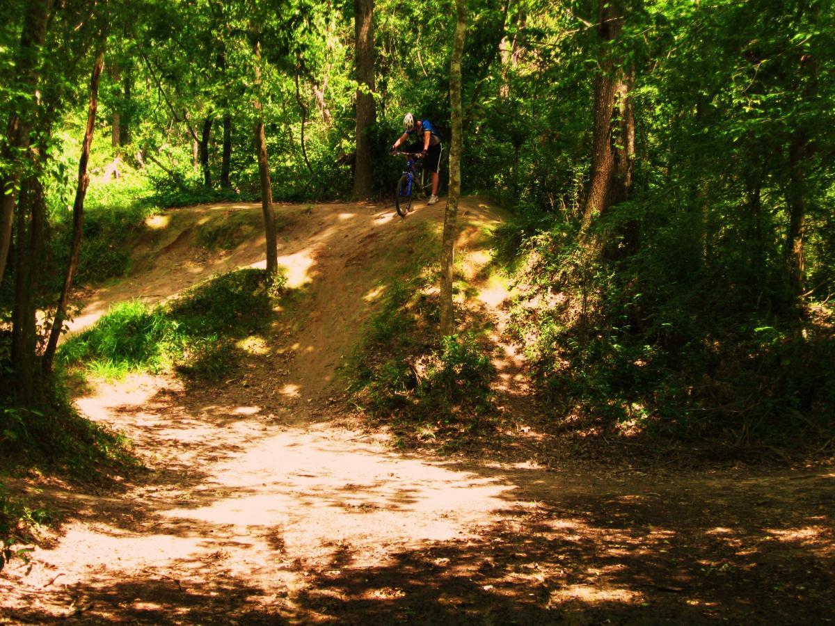 A mountain biker riding down a dirt path through a wooded area, surrounded by lush greenery and sunlight filtering through the trees. The path features a slight incline, with a mix of dirt and grass. Comite Trails mountain bike trail.