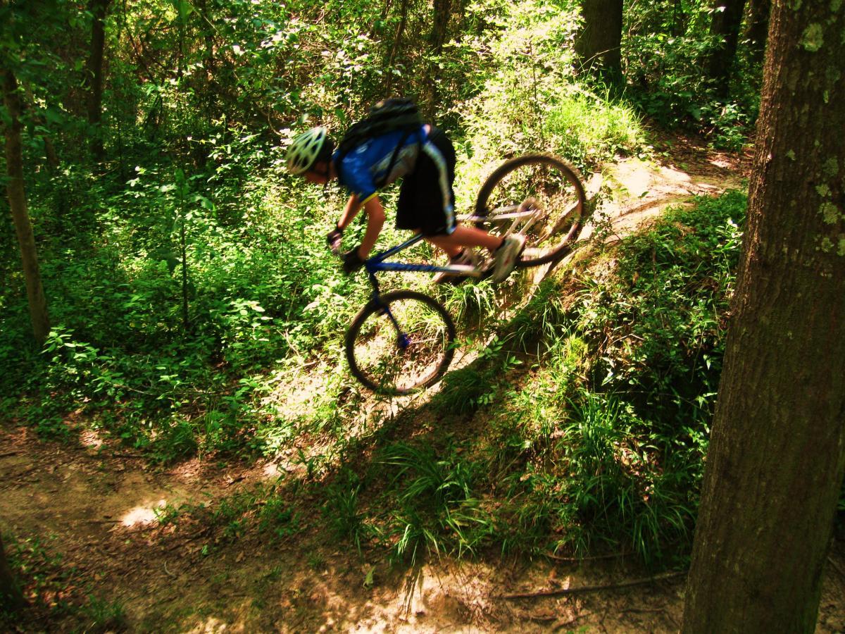 A mountain biker in a blue jersey and helmet is mid-jump on a wooded trail, navigating a dirt path surrounded by lush green foliage. The biker's body is leaning forward as the bike's front wheel lifts off the ground, showcasing an action shot of extreme sport in nature. Comite Trails mountain bike trail.