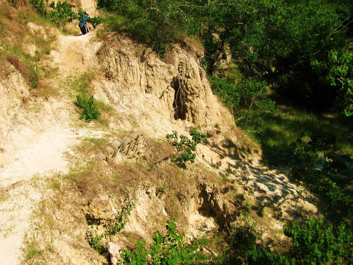 A winding dirt path leads through a rugged landscape with exposed soil and sparse vegetation. To the right, a person is seen walking along the path, surrounded by steep, earthy slopes and greenery. The sunlight illuminates the scene, highlighting the natural textures of the terrain. Hooper Road mountain bike trail.