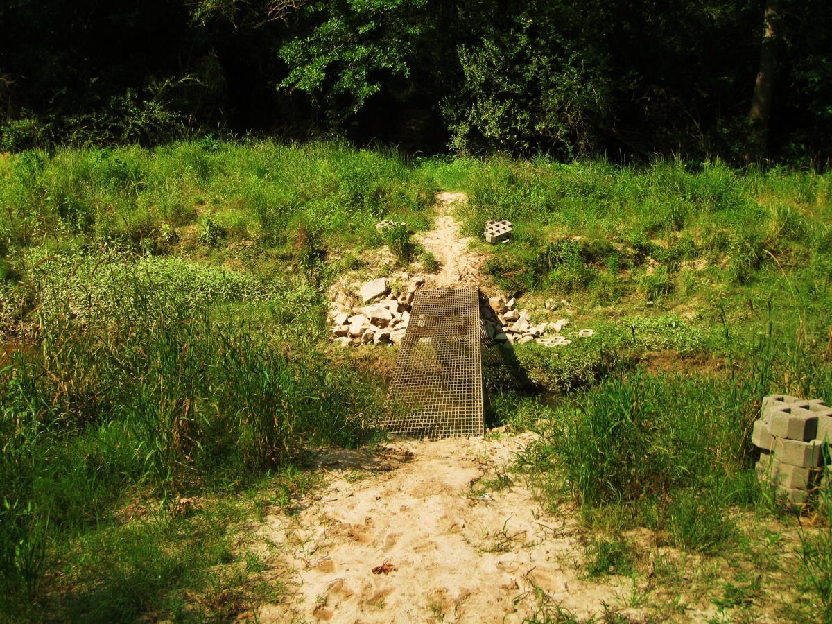 A small metal bridge spans a grassy area leading to a slightly overgrown path. The landscape features tall grass and scattered rocks, with hints of a shallow stream or water source visible in the background. The scene is predominantly green with sunlight filtering through the trees. Hooper Road mountain bike trail.