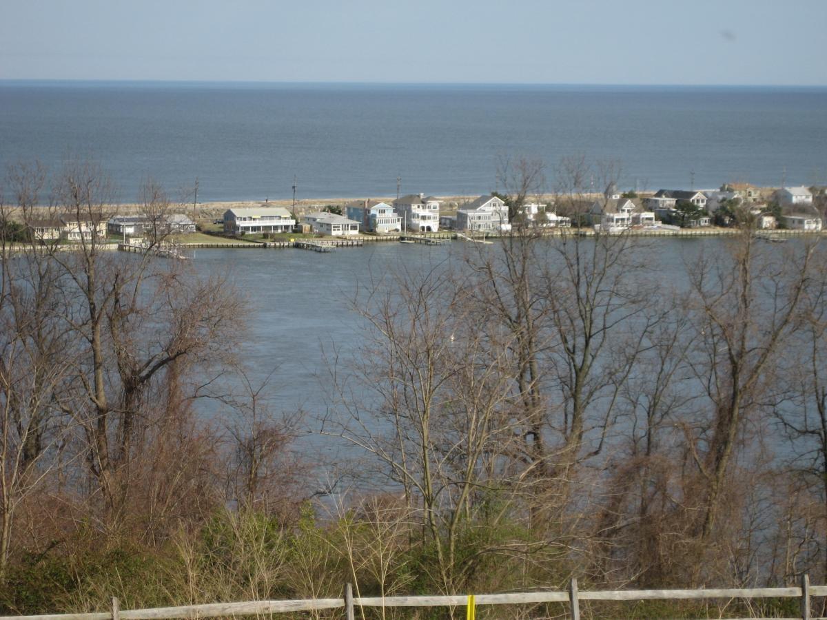 A scenic view of a shoreline with several houses lining the water's edge. Tree branches are visible in the foreground, while the calm ocean stretches out in the background under a clear blue sky. Hartshorne Woods Park mountain bike trail.