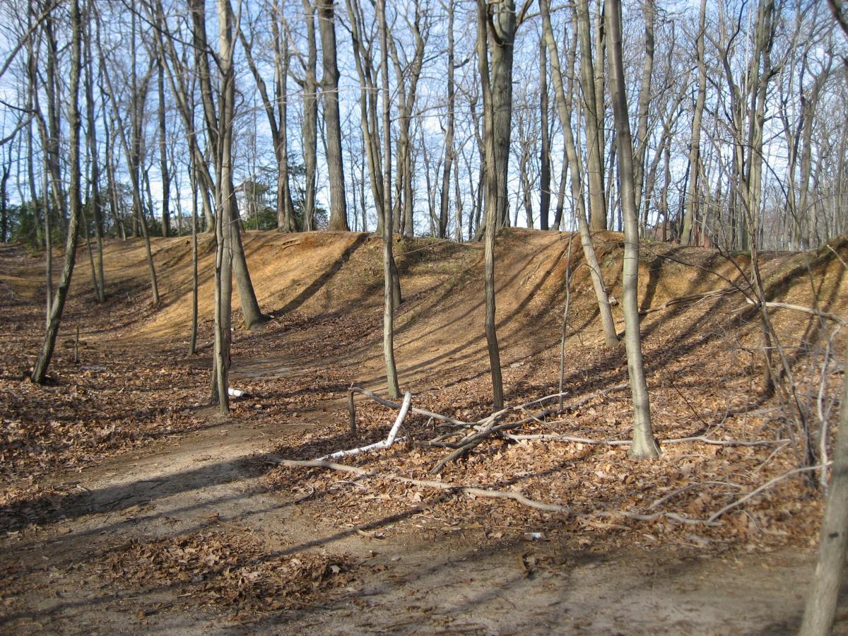 A wooded area featuring bare trees and a path surrounded by fallen leaves, with a small earthen mound or ridge in the background. The landscape shows a natural setting with a mix of dirt and vegetation, indicating a transition between a trail and surrounding forest. Hartshorne Woods Park mountain bike trail.