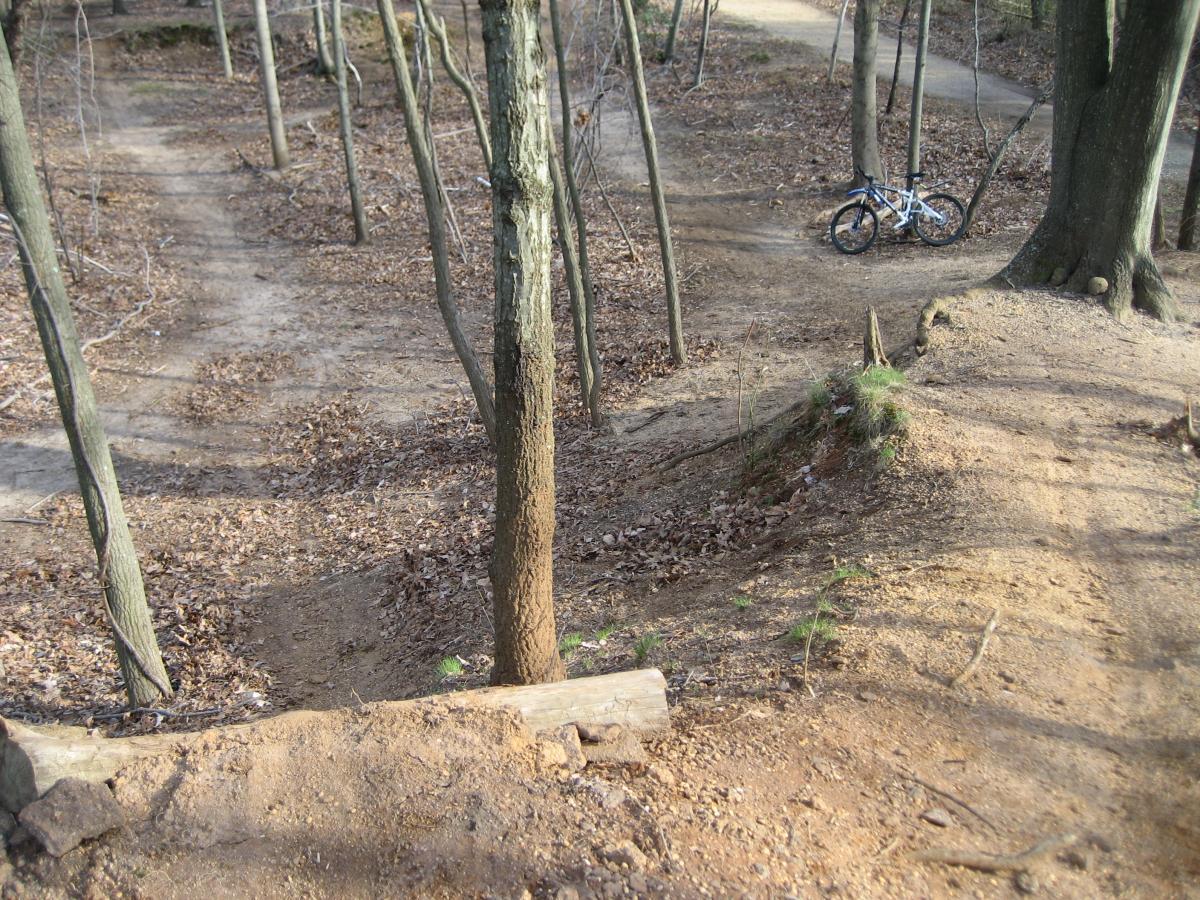 A dirt bike trail in a wooded area, featuring bike tracks winding through the trees. In the foreground, there is a small, elevated ramp made of wood, and a trail visible leading off into the distance. On the right, a parked mountain bike rests near a tree, surrounded by fallen leaves and bare trees. Hartshorne Woods Park mountain bike trail.