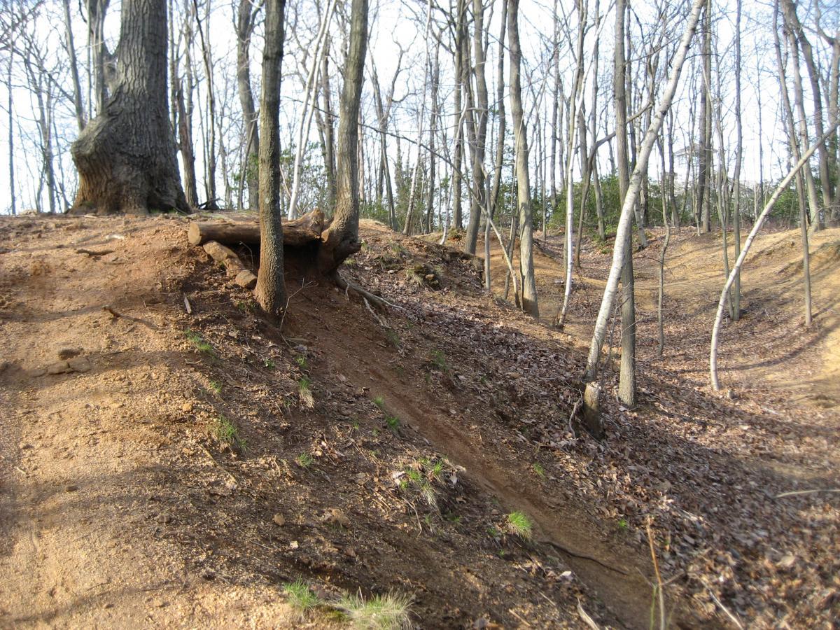 A wooded area featuring bare trees and a dirt path that winds through the landscape. A large tree trunk is visible on the left, with some logs lying on the ground nearby. The ground is covered in a mix of dirt and fallen leaves, with patches of green grass emerging in some areas. The scene is set in a natural, outdoor environment during a clear day. Hartshorne Woods Park mountain bike trail.