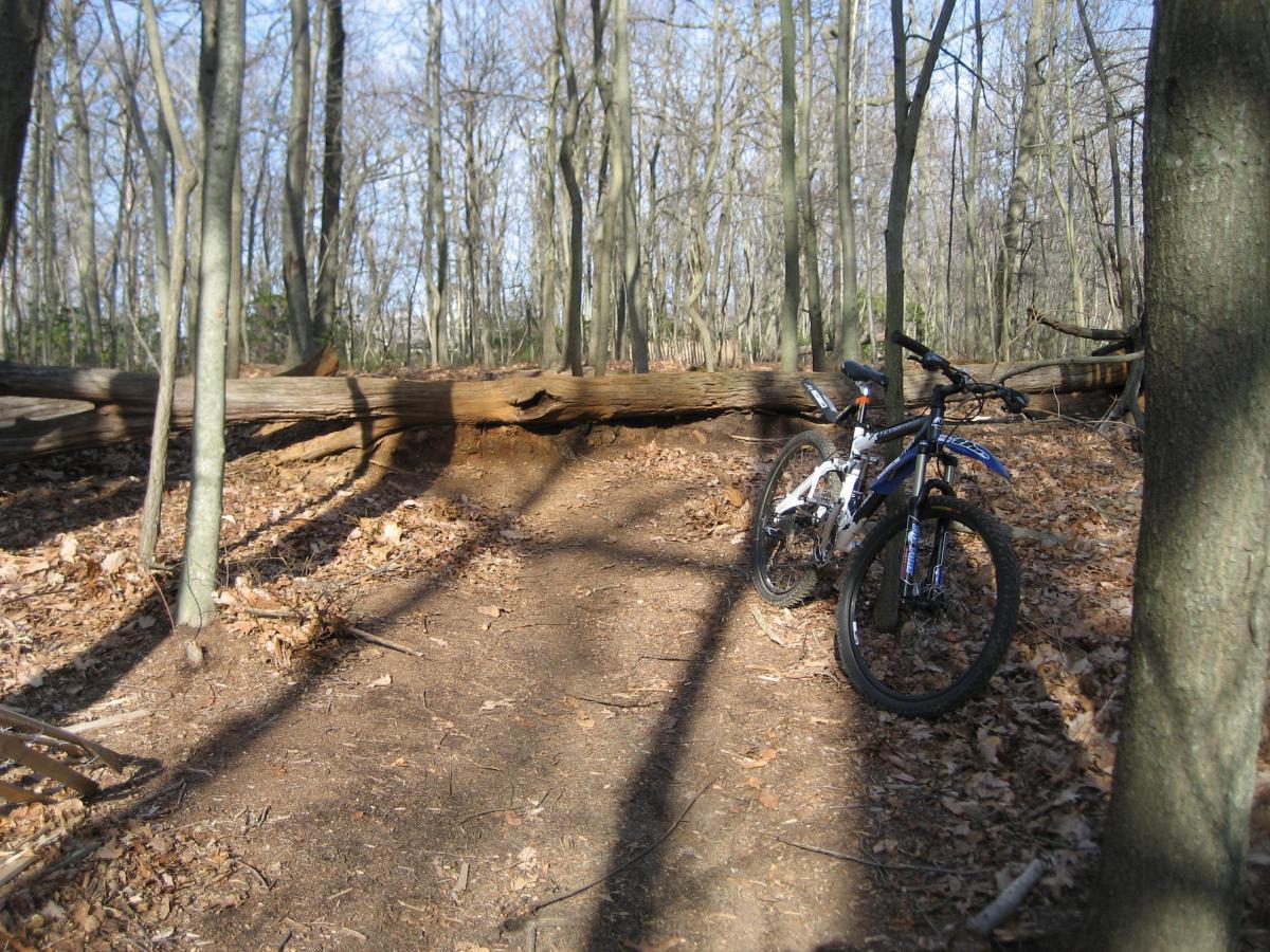 Two mountain bikes are positioned next to a dirt trail in a wooded area. The trail is surrounded by bare trees, and a large fallen log crosses the path in the background. The ground is covered with fallen leaves, indicating a natural setting during a clear day. Hartshorne Woods Park mountain bike trail.