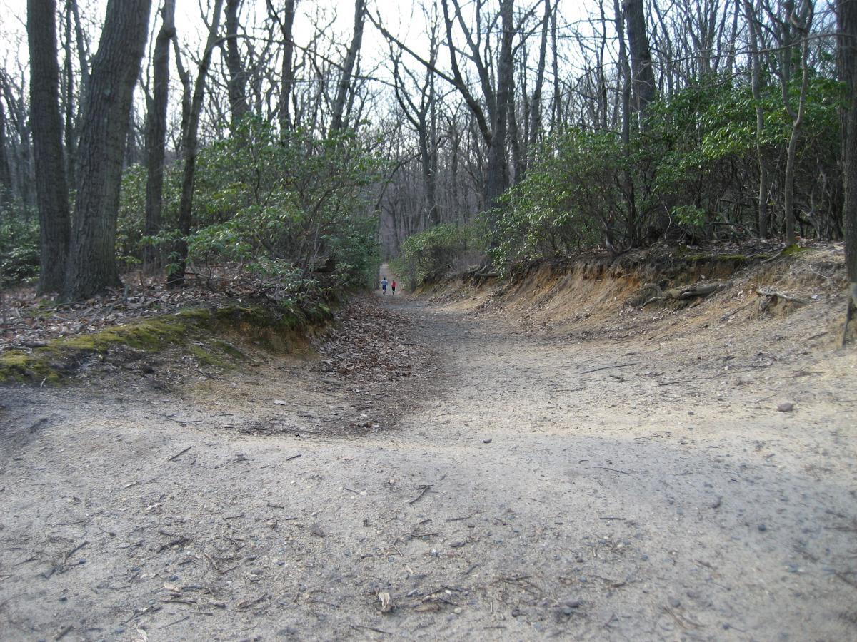 A dirt path winding through a forest, flanked by bare trees and shrubs. Two people can be seen walking in the distance along the trail, which is surrounded by earthy tones and scattered leaves. The atmosphere conveys a serene, natural setting in early spring or late fall. Hartshorne Woods Park mountain bike trail.