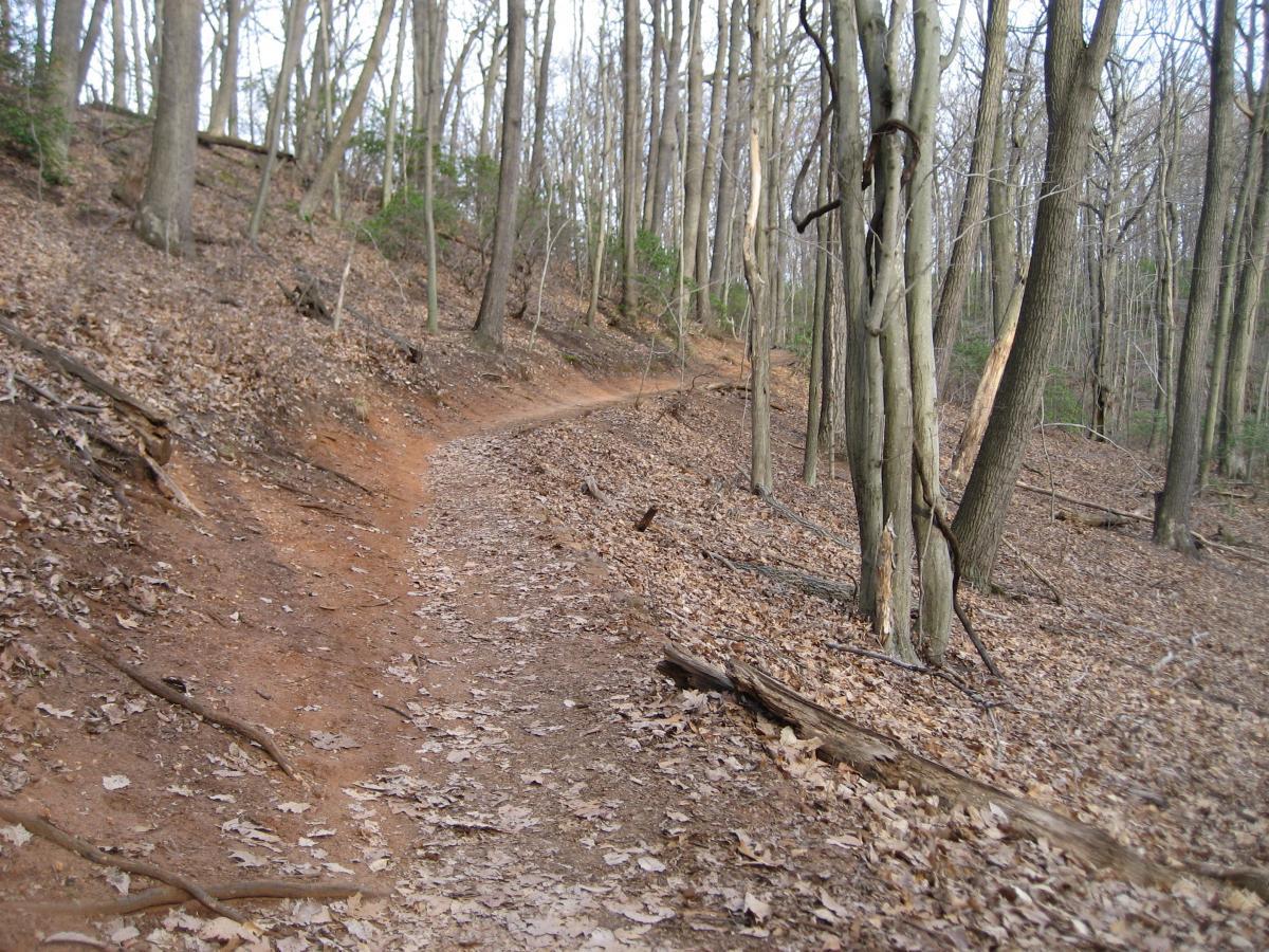 A winding dirt path leads through a forested area with bare trees and fallen leaves scattered on the ground. The trail curves gently to the right, bordered by tree trunks and patches of greenery. Hartshorne Woods Park mountain bike trail.