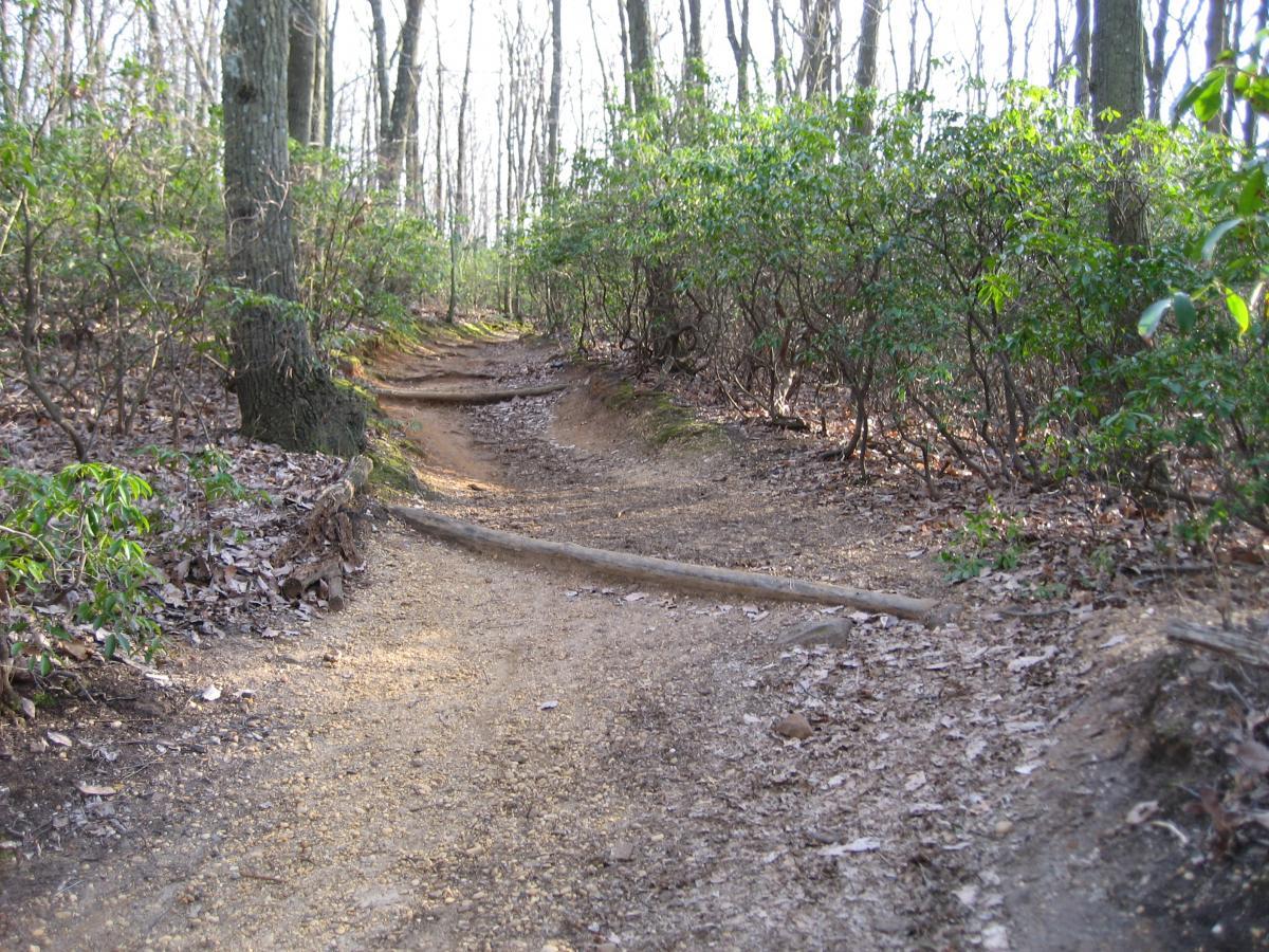 A winding dirt trail through a wooded area, surrounded by trees and shrubs. The path has patches of exposed soil and fallen leaves, with a fallen log crossing over it. Light filters through the trees, indicating a bright, sunny day. Hartshorne Woods Park mountain bike trail.