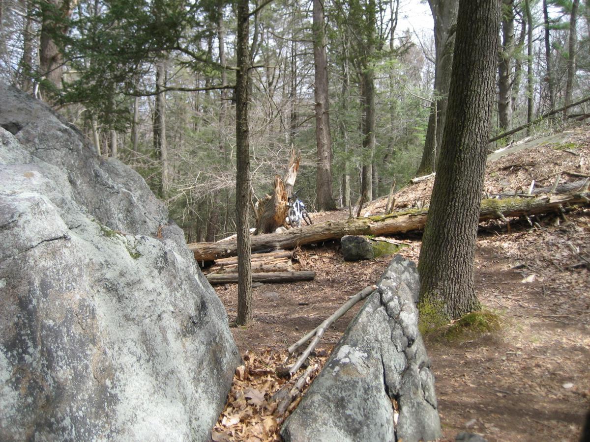 A forest scene featuring large rocks and trees, with fallen logs on the ground. The area appears tranquil and wooded, indicative of early spring with some greenery. Blue Mountain Reservation mountain bike trail.