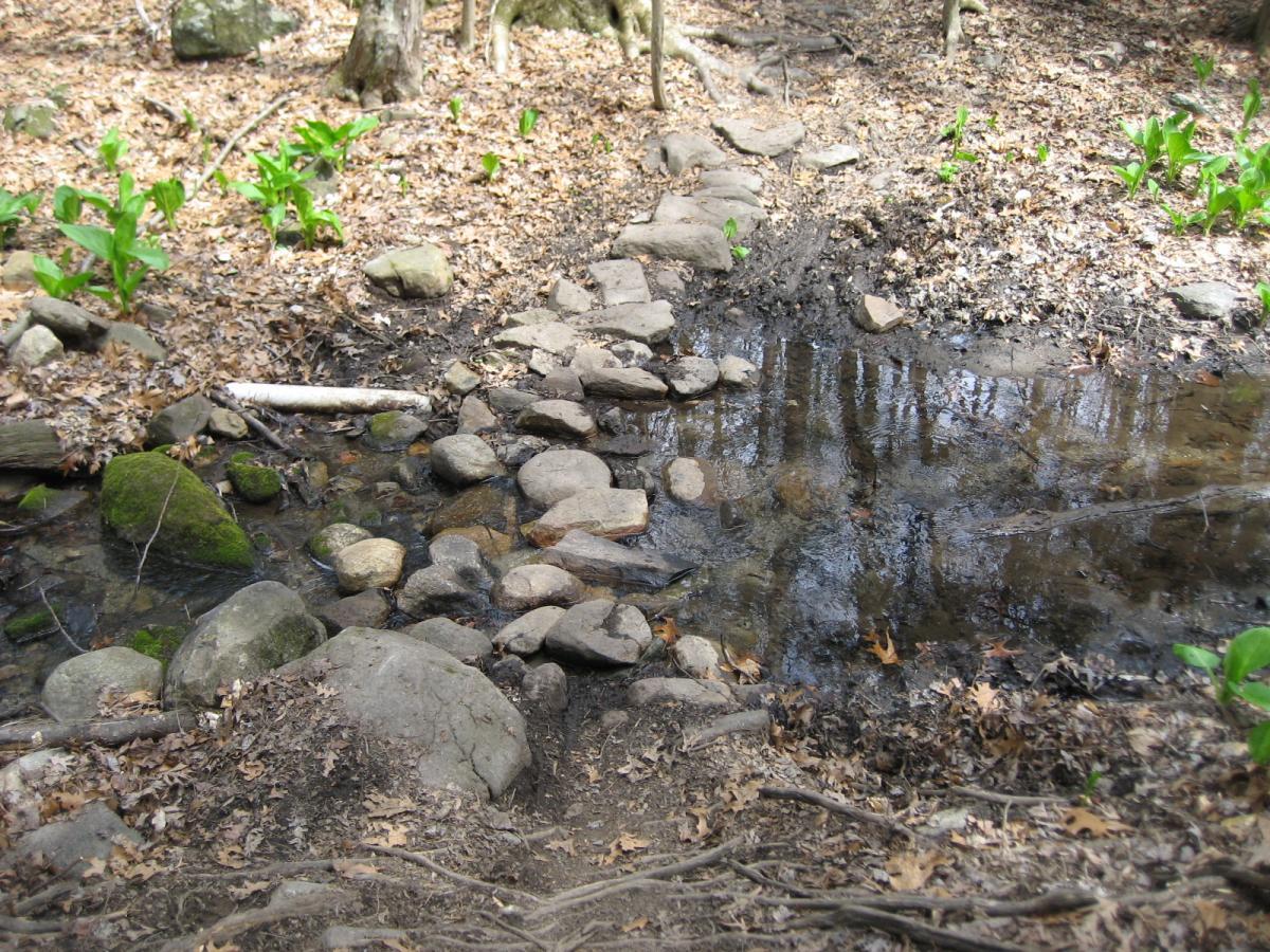 A small, rocky footbridge spans a clear stream in a wooded area. The ground is covered with dry leaves and scattered rocks, while green plants emerge from the forest floor. Reflections of trees can be seen in the water, indicating a peaceful natural setting. Blue Mountain Reservation mountain bike trail.