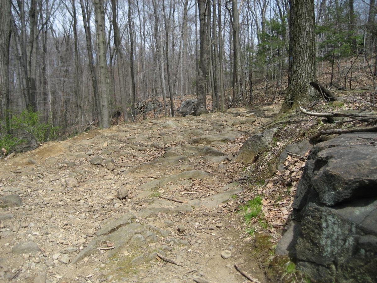 A rocky hiking trail surrounded by bare trees in a forest, with patches of dirt and scattered leaves along the path. Blue Mountain Reservation mountain bike trail.