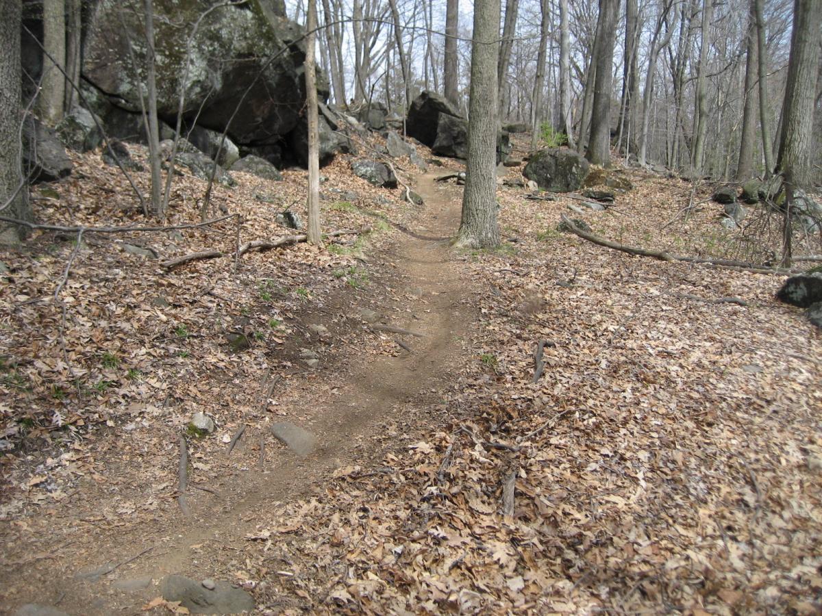 A dirt trail winding through a wooded area, surrounded by bare trees and large rocks. The ground is covered with fallen leaves, creating a natural path that leads deeper into the forest. Blue Mountain Reservation mountain bike trail.
