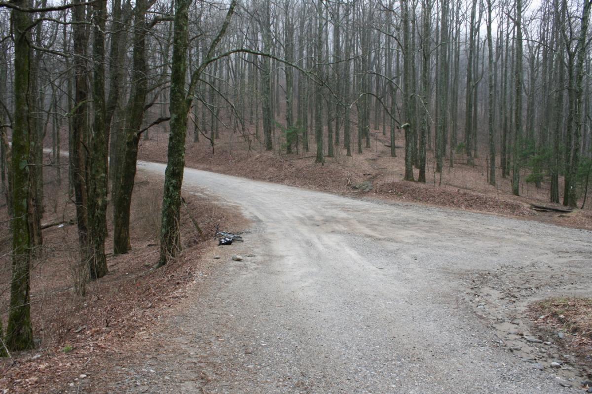 A winding gravel road surrounded by bare trees in a foggy forest. The path curves to the right, with dried leaves and rocks visible along the edge. The atmosphere appears muted and tranquil. Winding Stairs Loop mountain bike trail.