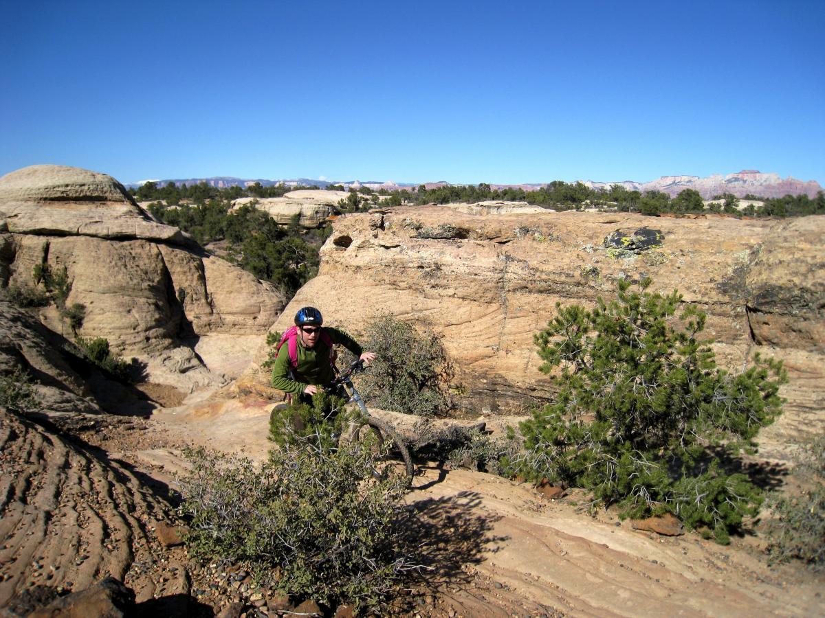 A mountain biker navigates a rocky trail in a desert landscape, surrounded by unique rock formations and sparse greenery. The clear blue sky provides a backdrop to the rugged terrain. Gooseberry Mesa mountain bike trail.