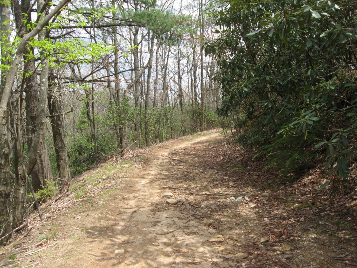 A winding dirt path surrounded by trees and greenery, leading through a serene forest landscape. The ground is uneven with some rocks, and new leaves are visible on branches, suggesting early spring or late winter. Bull / Jake Mountain mountain bike trail.