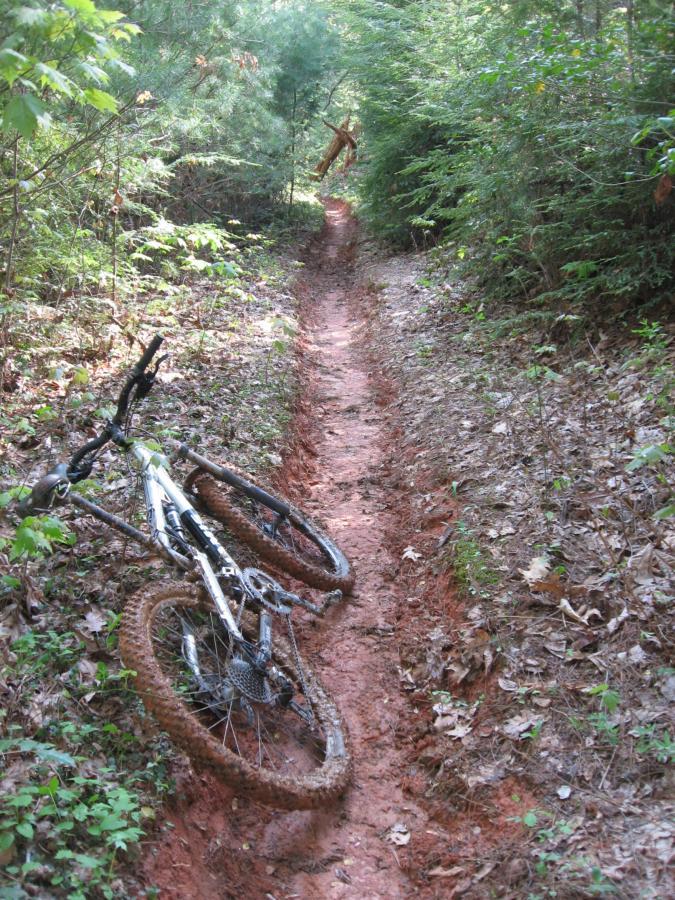 A mountain bike lying on its side next to a narrow dirt trail surrounded by dense greenery and trees. The trail shows signs of muddy weather, with tire tracks evident in the soft soil. Jake to Bull Mountain Connecter mountain bike trail.