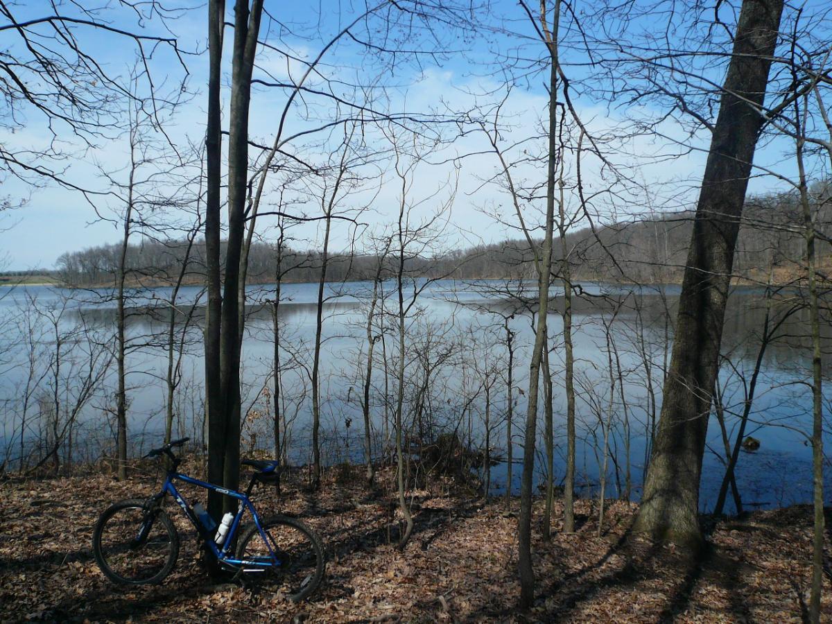 A blue mountain bike leans against a tree in a wooded area, with a calm lake visible in the background. The scene features bare trees and dry leaves on the ground, under a clear blue sky with some clouds. Fort Custer Recreation Area mountain bike trail.