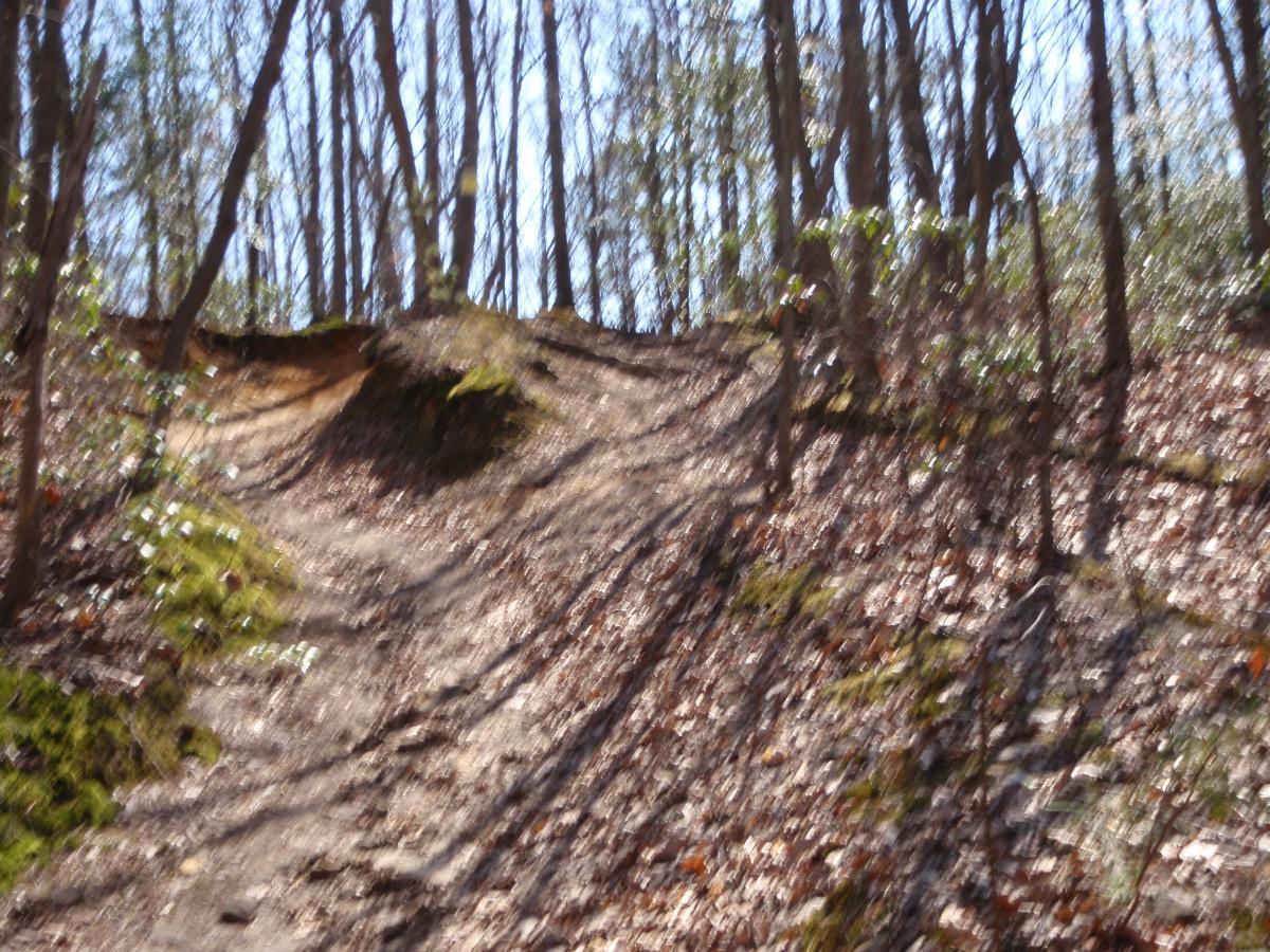 A blurred image of a hiking trail winding upward through a wooded area, with trees on either side and fallen leaves scattered on the ground. The sunlight is visible through the branches, suggesting a bright day. Camden County College mountain bike trail.