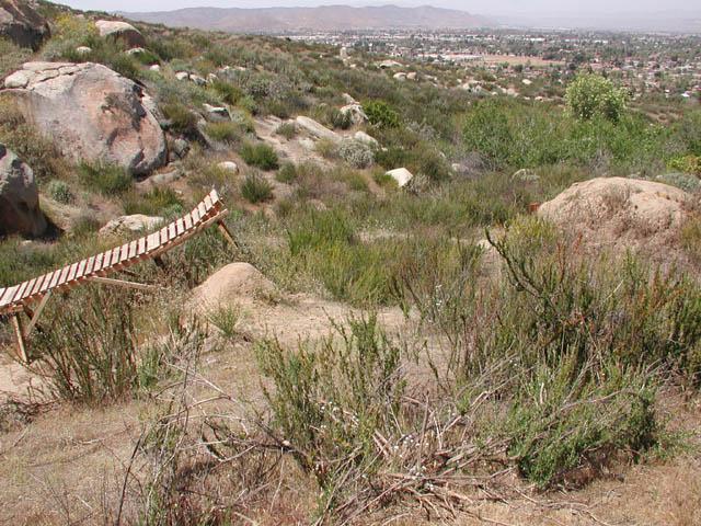 A scenic view of a hilly terrain featuring dry shrubs and rocks, with a wooden ramp positioned on the left side. The background shows a distant city landscape and mountains under a clear sky. Pachea Trail mountain bike trail.