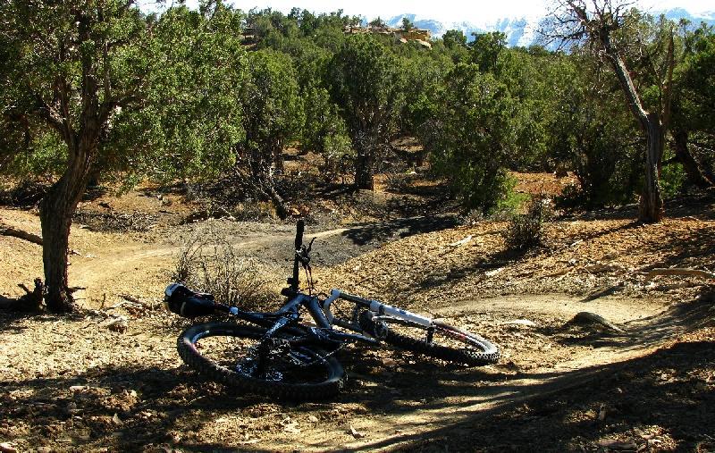 A mountain bike lies on its side along a rugged dirt trail surrounded by trees and sparse vegetation, with a backdrop of distant hills visible in the background. The scene conveys a peaceful, natural environment suitable for outdoor cycling adventures. Phil's World mountain bike trail.