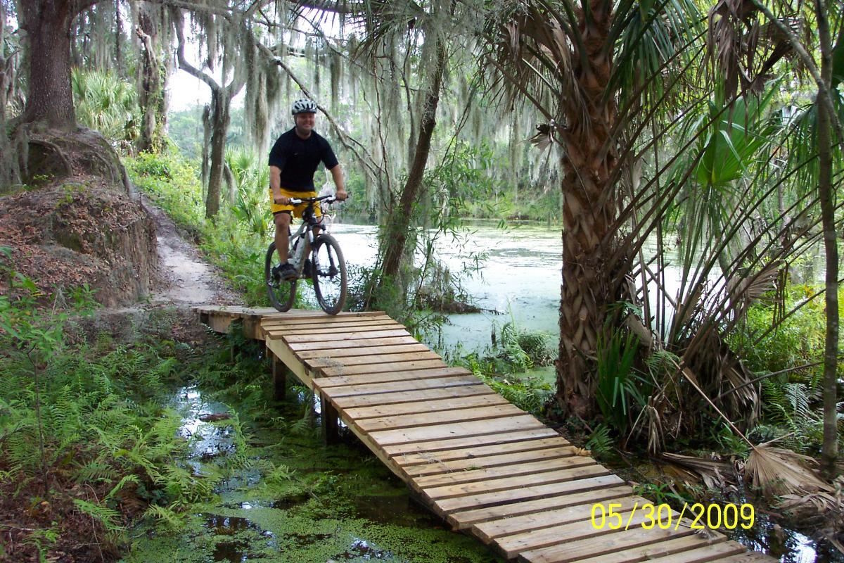 A cyclist riding a mountain bike on a wooden bridge over a small water body, surrounded by lush greenery and hanging moss. The scene captures a serene outdoor setting, with trees and ferns visible along the path. Loyce E. Harpe Park mountain bike trail.
