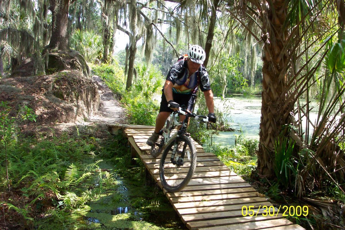 A cyclist navigating a narrow wooden bridge over a body of water in a lush, green landscape. The scene features dense greenery, including ferns and palm trees, with Spanish moss hanging from the branches above. The setting appears to be a nature trail, showcasing a blend of adventure and natural beauty. Loyce E. Harpe Park mountain bike trail.
