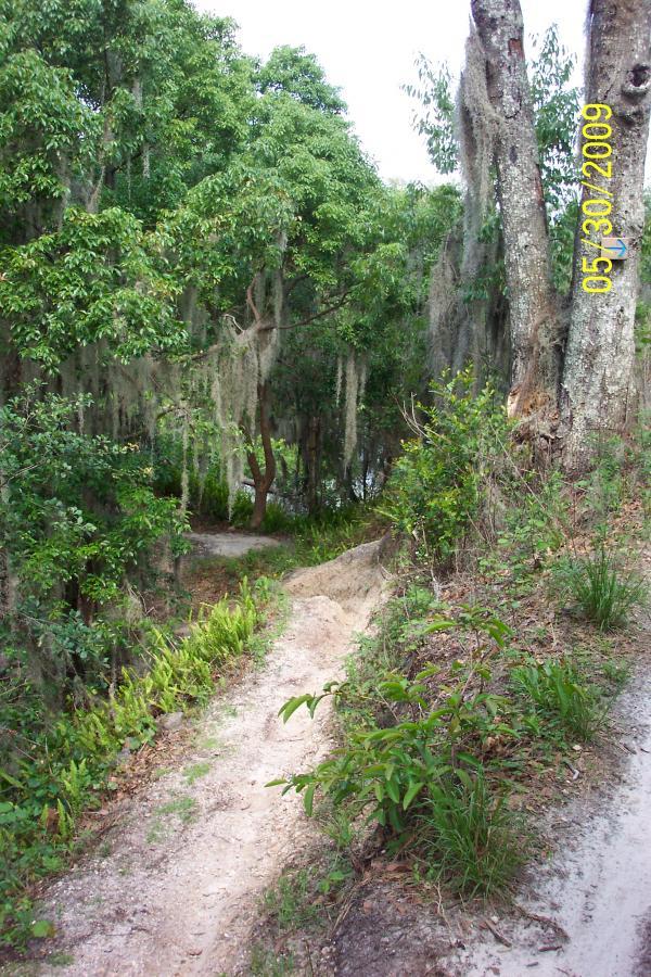 A winding dirt path surrounded by lush greenery, including tall trees and ferns. Spanish moss hangs from the branches, creating a serene atmosphere, while hints of light filter through the foliage. The path leads to a partially visible waterway in the background. Loyce E. Harpe Park mountain bike trail.