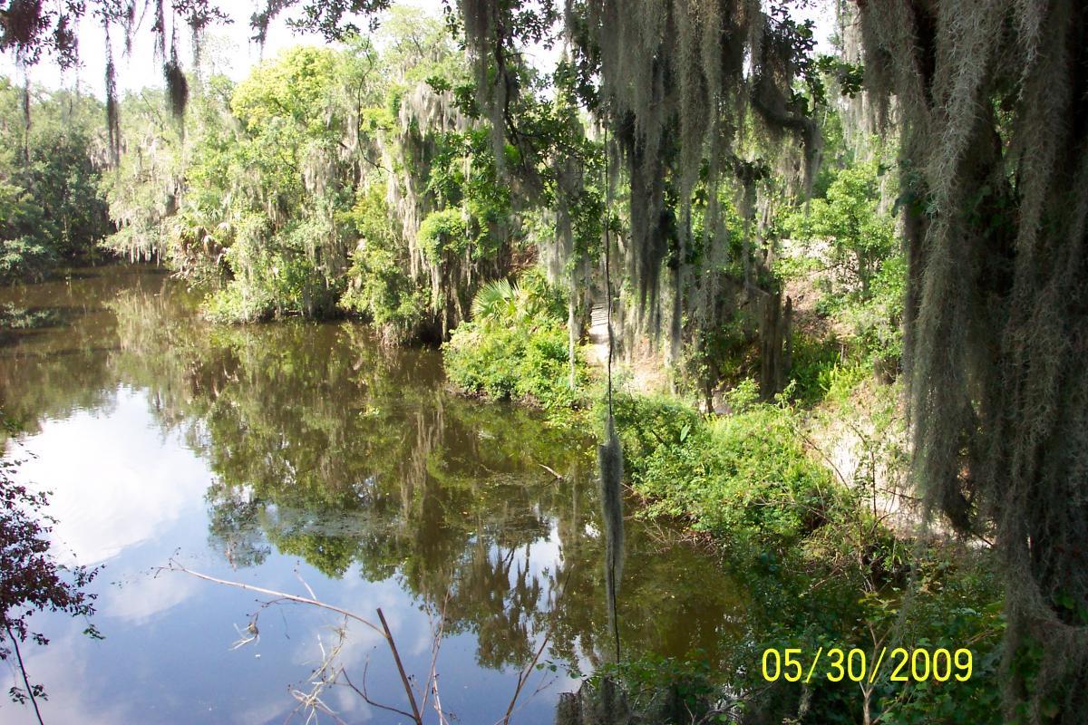 A serene view of a calm river surrounded by lush greenery and trees draped with Spanish moss, reflecting the blue sky above. The scene captures the beauty of a natural wetland area, inviting exploration and appreciation of the tranquil environment. Loyce E. Harpe Park mountain bike trail.
