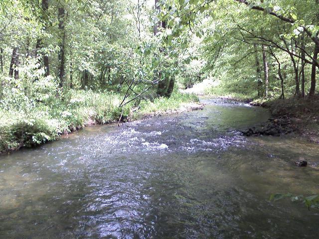 A serene view of a gently flowing creek surrounded by lush greenery, with trees lining the banks and dappled sunlight filtering through the leaves. The water reflects the natural scenery, creating a tranquil atmosphere. Unicoi State Park mountain bike trail.